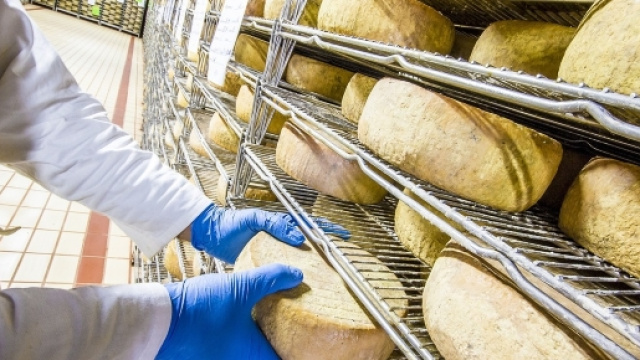 Il maggior apprezzamento per i formaggi Dop si traduce in una maggior richiesta di latte italiano.