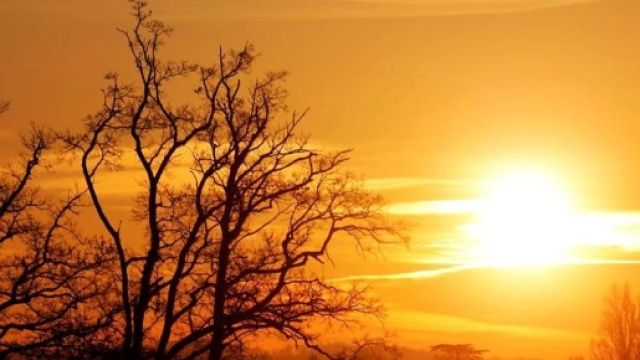 Oroscopo | previsioini del giorno 6 di giugno 2017 per gli ultimi sei segni dello zodiaco