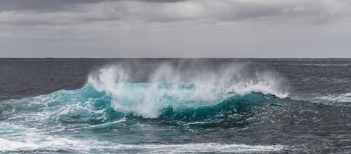 Dream interpretations: The top 5 most common dreams and their ... - dailycampus.com