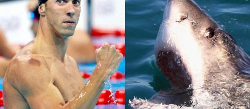 Michael Phelps Is Set to Race a Great White for Discovery Shark Week. / from 'E! Online' - eonline.com