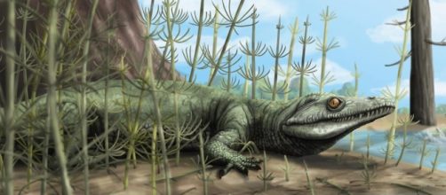 Pandora, the Goddess who Unleashed both Hell and Hope upon ... - ancient-origins.net