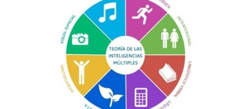Teor&iacute;a de las Inteligencide Gardner - psicologiaymente.net