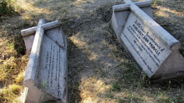 Diari | Macondo Express - macondoexpressblog.com