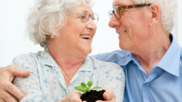 Esubero domande Ape e Quota 41