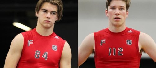 Nolan Patrick, Nico Hischier split No. 1 spot in mock drafts | pixabay.com