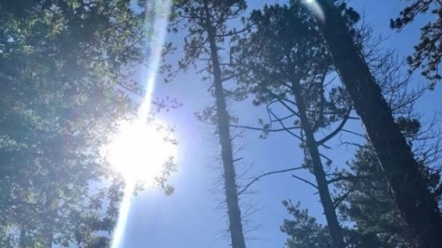 Come affrontare il caldo estremo &copy;photo E.B.