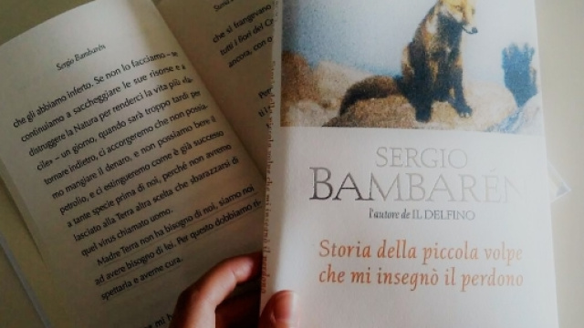 "Storia della piccola volpe che mi insegn&ograve; il perdono", S. Bambar&egrave;n.