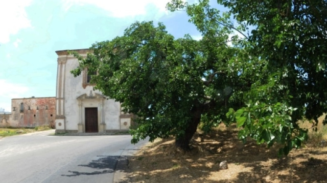 Efferato omicidio a Modena: la vittima &egrave; stata evirata.