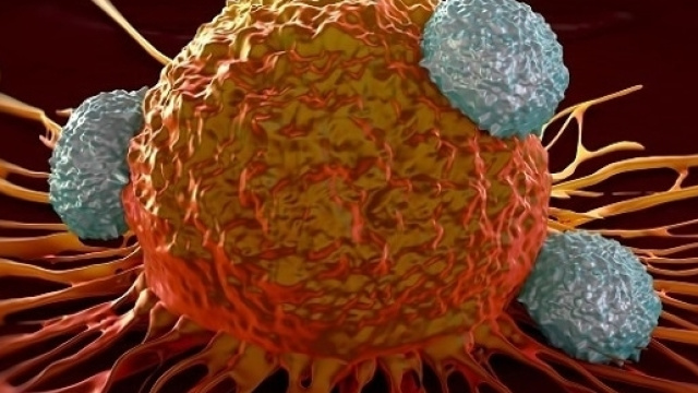 L&rsquo;immunoterapia inizia a dare delle risposte positive anche nel mieloma multiplo