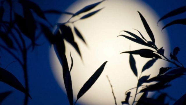 Il 9 luglio l'apice della Luna dell'Opulenza