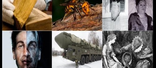 Essas hist&oacute;rias v&atilde;o fazer voc&ecirc; perder o sono