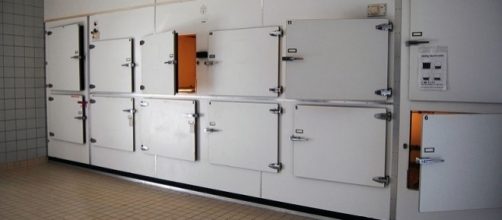 Photo morgue via Wikimedia by P.J.L Laurens / CC BY-SA 3.0