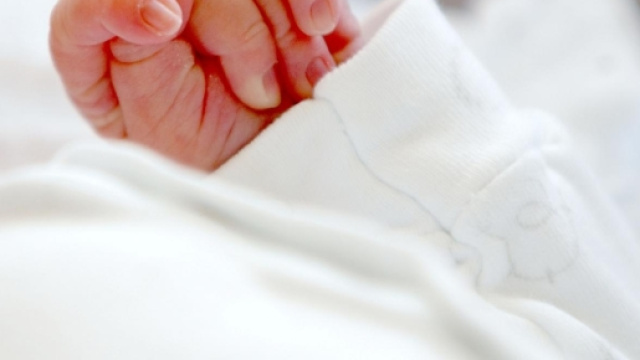 Una terribile storia di un neonato abbandonato morto in maniera atroce arriva dall'India.