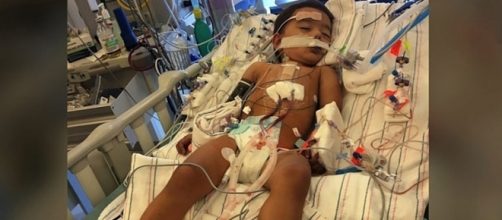 Photo Ethan Chandra screen capture from CNN video