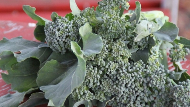I broccoli potrebbero contenere il segreto per vincere il diabete