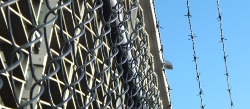 Photo via Pixabay by ErikaWittlieb / CC0