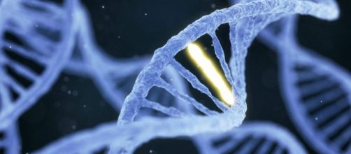 Blocking Breast Cancer Mutations Seen to Largely Stop Metastasis - breastcancer-news.com