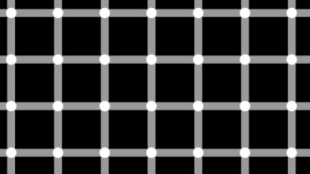Here's why you can't see all 12 black dots in this crazy optical ... - sciencealert.com