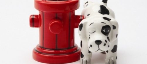 Illuminati colors stratigically placed. Pixabay