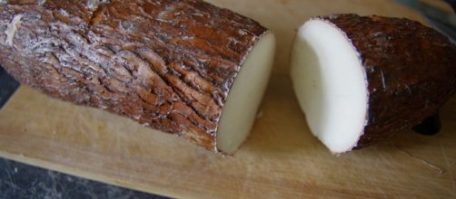 La yuca y sus propiedades para la salud - com.ve