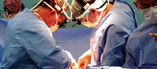 Researchers believe they solved the problem of organ rejection. - wikimedia.org