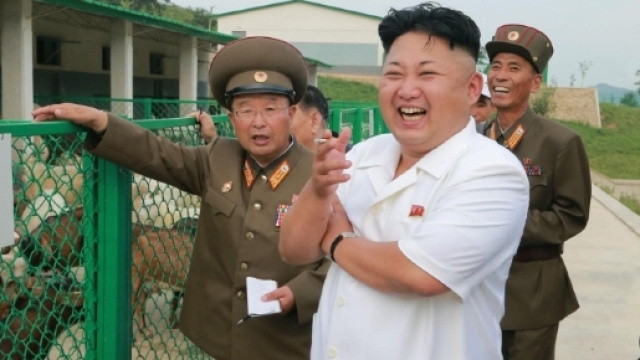 Corea del Nord: la dura replica alle accuse di Tillerson - fanpage.it