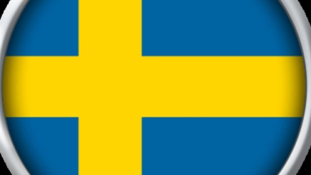 Le PSG pourrait recruter cette p&eacute;pite su&eacute;doise.