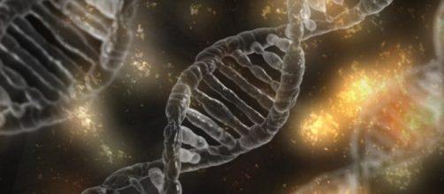 Evolucionismo &eacute; ci&ecirc;ncia? (Foto: Reprodu&ccedil;&atilde;o)