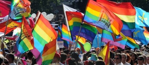 El arco iris inunda las calles de medio mundo cada 28 de junio. Este a&ntilde;o el honor de ser la capital del Orgullo Gay es para Madrid