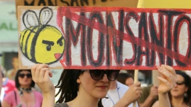 La California contro Monsanto: &egrave; guerra al glifosato