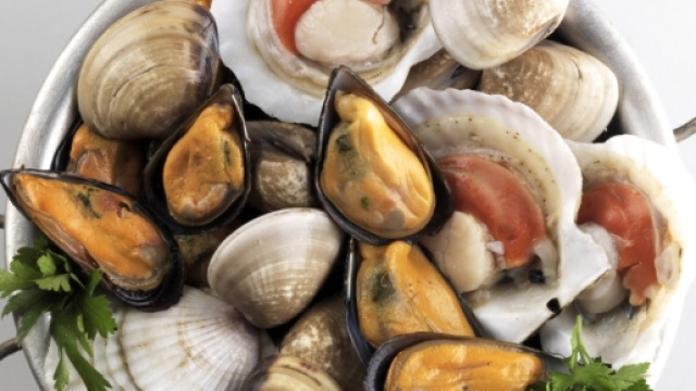 Mangia frutti di mare avariati: vescica perforata