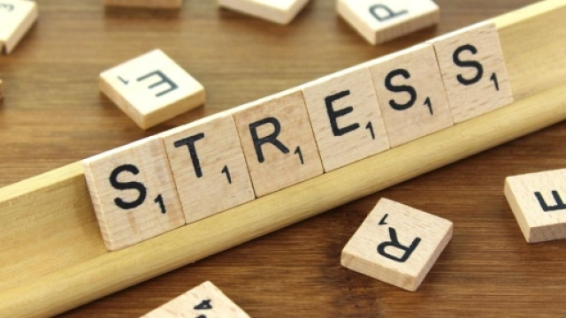 Stress - HAS et burn-out - CC BY