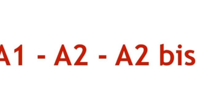 Modelli A1, A2 e A2 bis, quale modulo usare e dove inviare la ... - gildavenezia.it