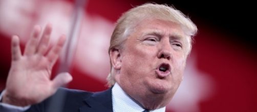 Donald Trump, fair use via Google Images