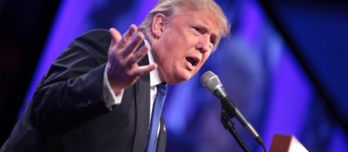 donaldtrump17644612200_499df72c8c_b