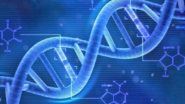 Il microchimerismo proviene dal Dna maschile che va a finire nel cervello femminile.