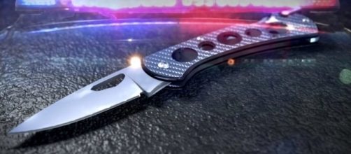 Girl,16, charged with fatally stabbing Uber driver | WSYX - abc6onyourside