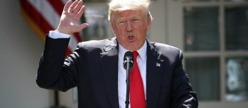 TrumpTide: What's Rising? - trumptide.us