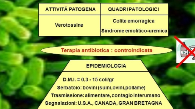Bambina di 15 mesi muore di Seu.