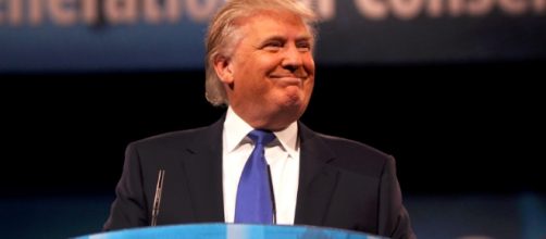 Donald Trump / Photo by Gage Skidmore via Flickr