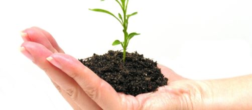 Mundial del Medio Ambiente 2012 - starmedia.com