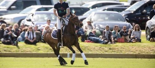 Prince William joins at the Beautort charity polo match | Daily ... - dailymail.co.uk