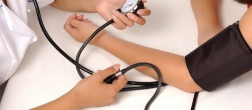 Which Herbs Can Lower Blood Pressure? &ndash; Natural Healing ... - pafarmnews.com