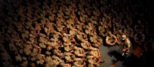 Politics: Marine officers could face charges after allegedly ... - pulse