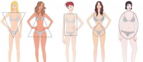 Seu formato de corpo e sua personalidade; conhe&ccedil;a os detalhes por tr&aacute;s dele