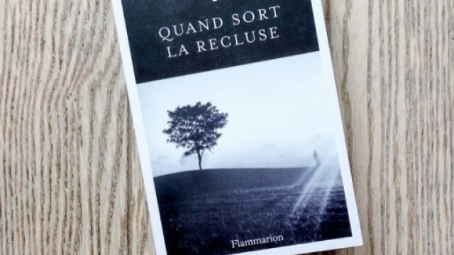 Couverture du roman policier mettant, une fois de plus, en sc&egrave;ne le commissaire Adamsberg