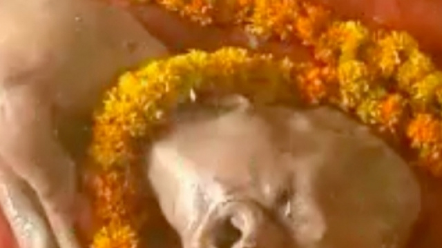 India, migliaia di induisti in visita al vitello dalle sembianze umane.