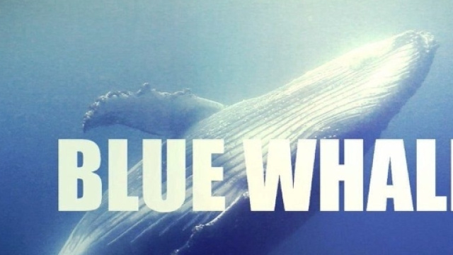 Le Iene sdoganano il Blue Whale?