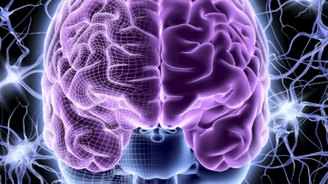 Sclerosi Multipla: parte sperimentazione con cellule staminali cerebrali umane