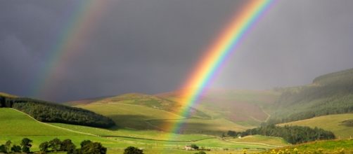 7 Tools for Coping with Difficult Emotions - Good Therapy San Diego - goodtherapysandiego.com